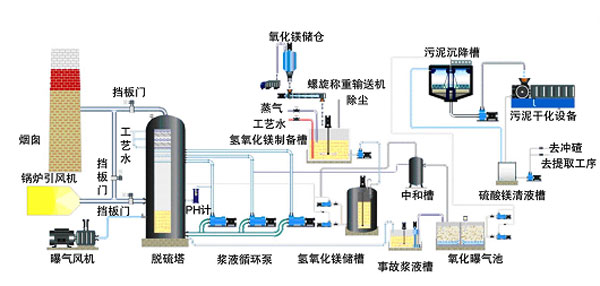 1573631389717354.jpg 3.jpg