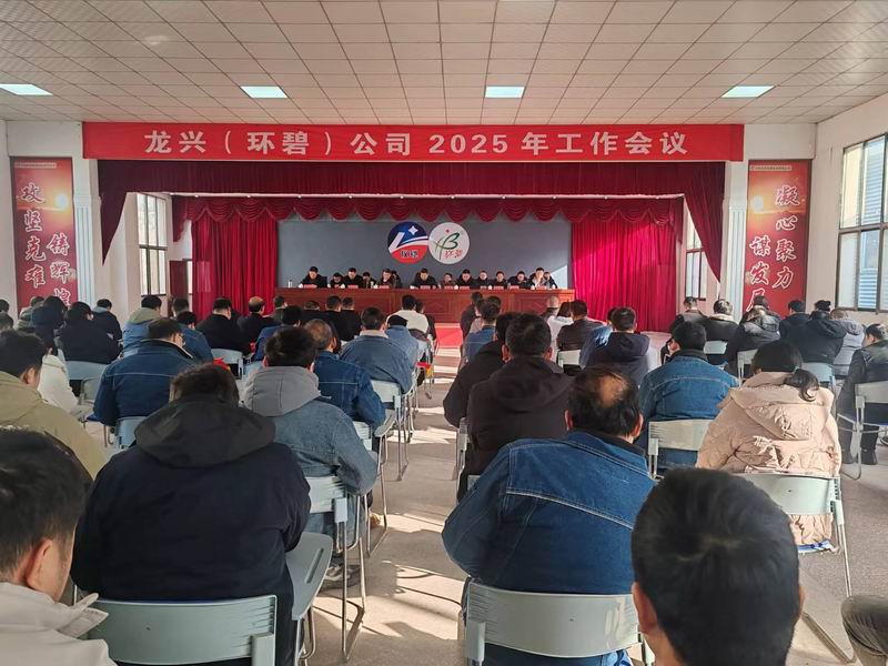龙兴(华体会线上平台(集团)官方网站)公司召开2025年工作会议